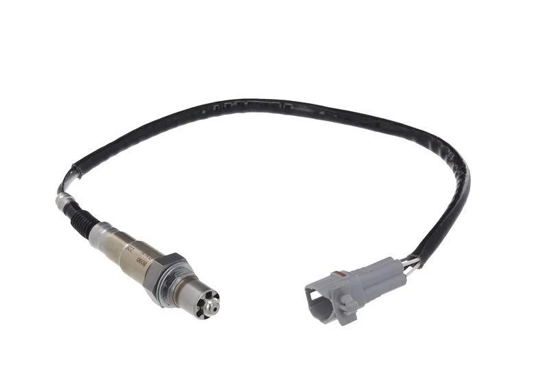 lott-321410