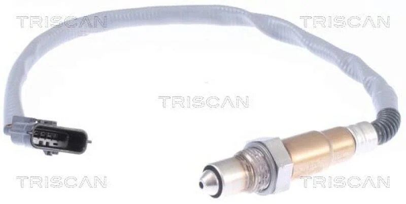 lott-321512