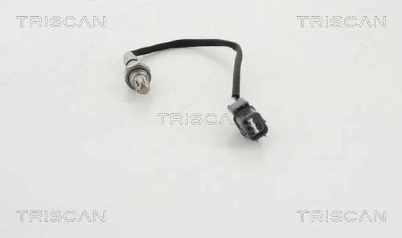 lott-321542