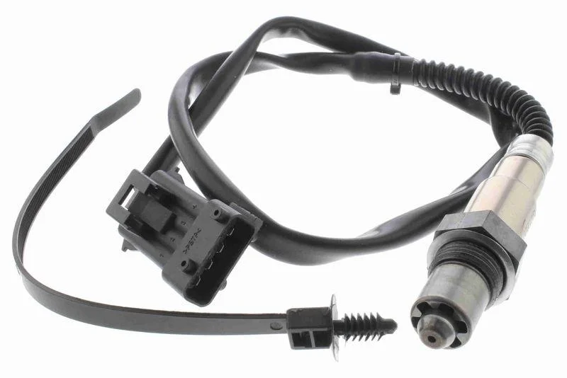 lott-324144