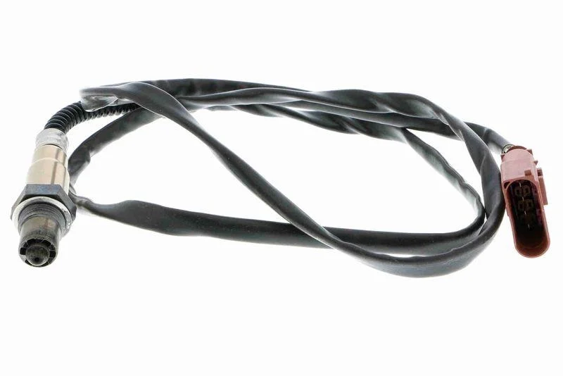 lott-324410