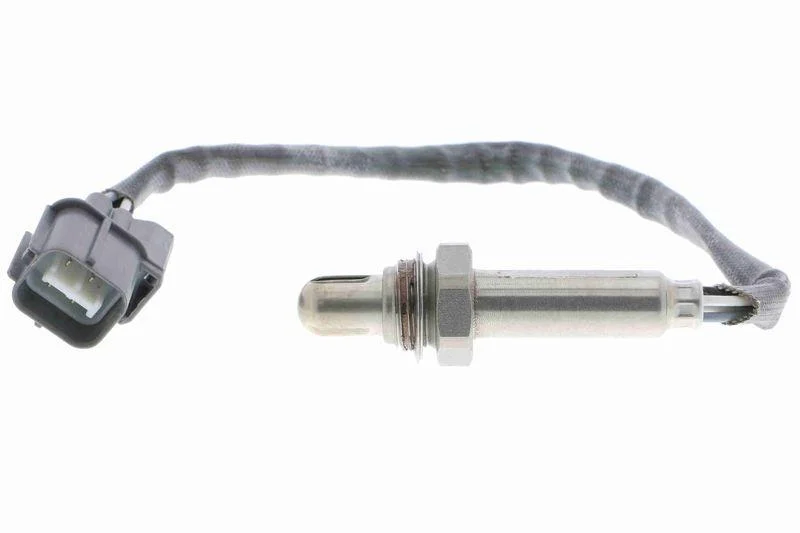 lott-324738