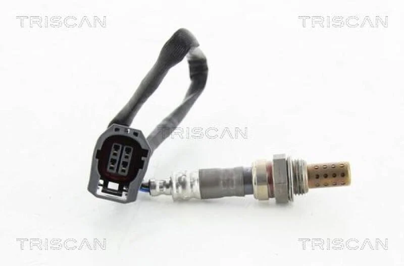 lott-324801