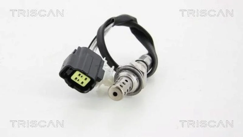 lott-325049