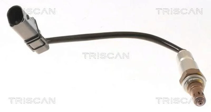 lott-325123