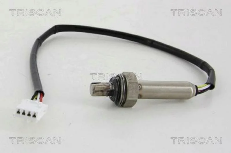 lott-327169