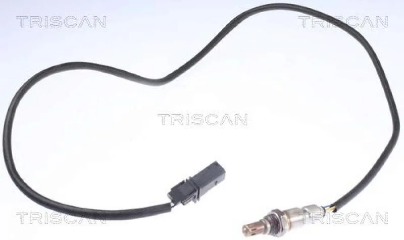 lott-328043