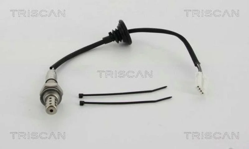 lott-328058
