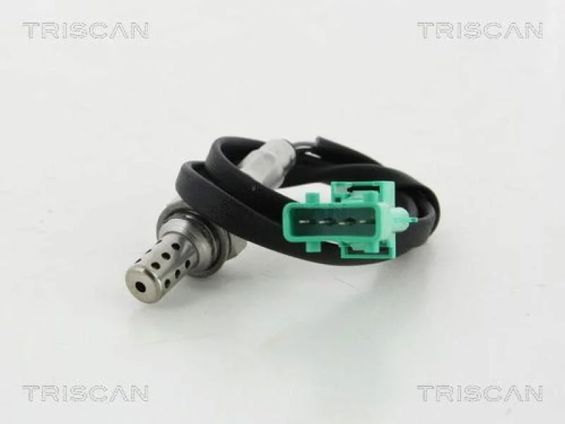 lott-328153