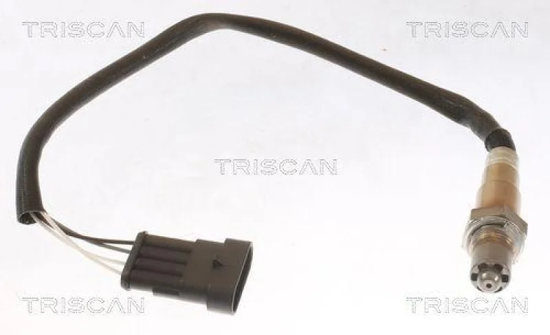 lott-328242