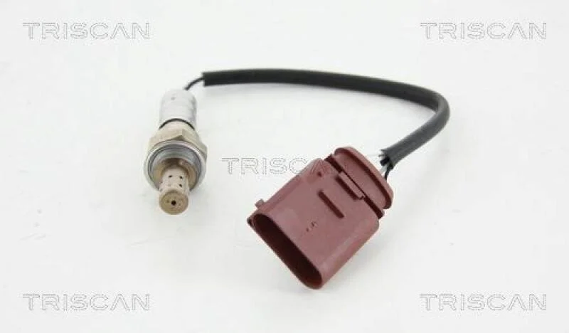lott-329660