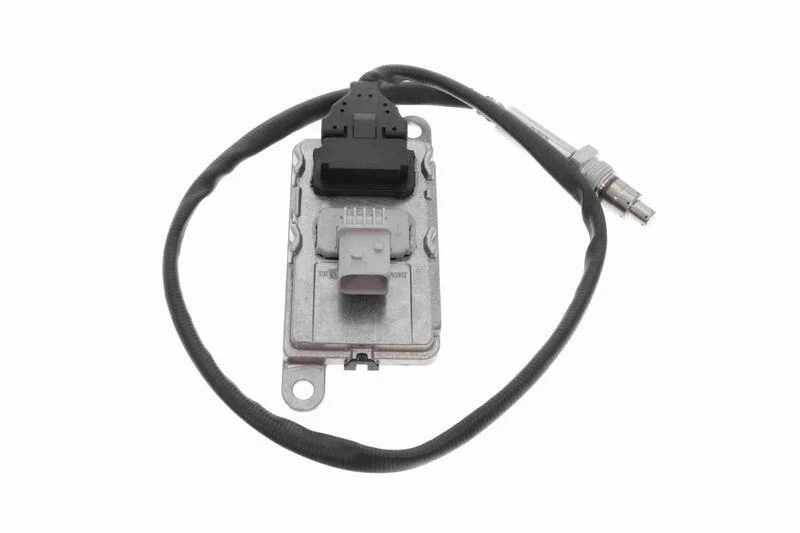 lott-350564