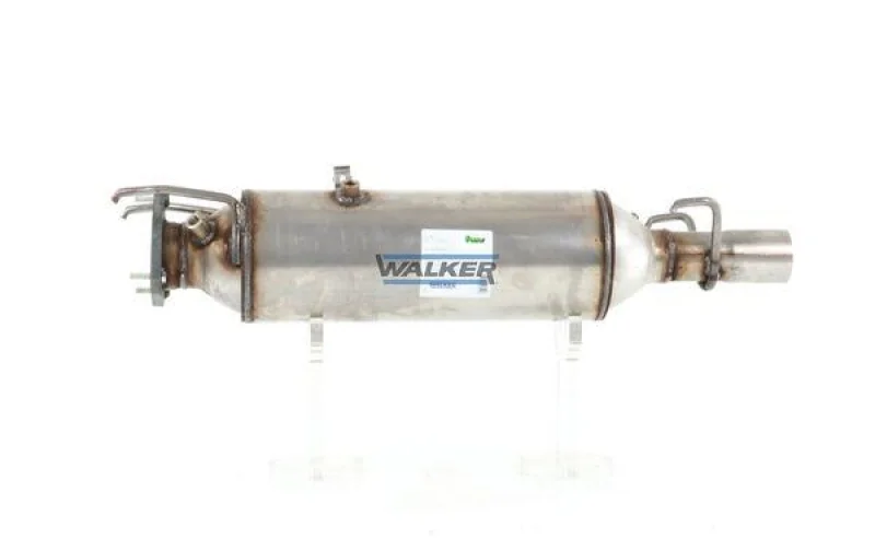 lott-361241