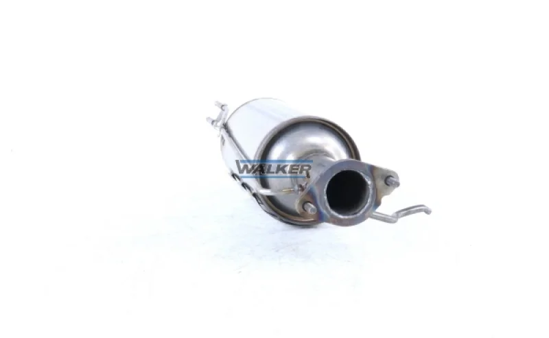 lott-361484