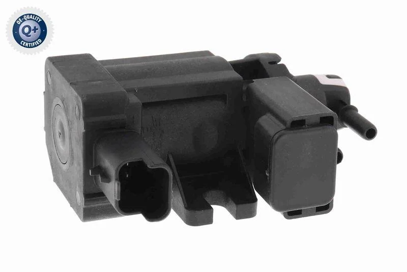 lott-368133