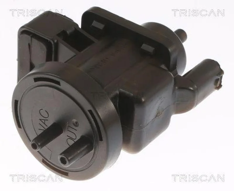 lott-370454