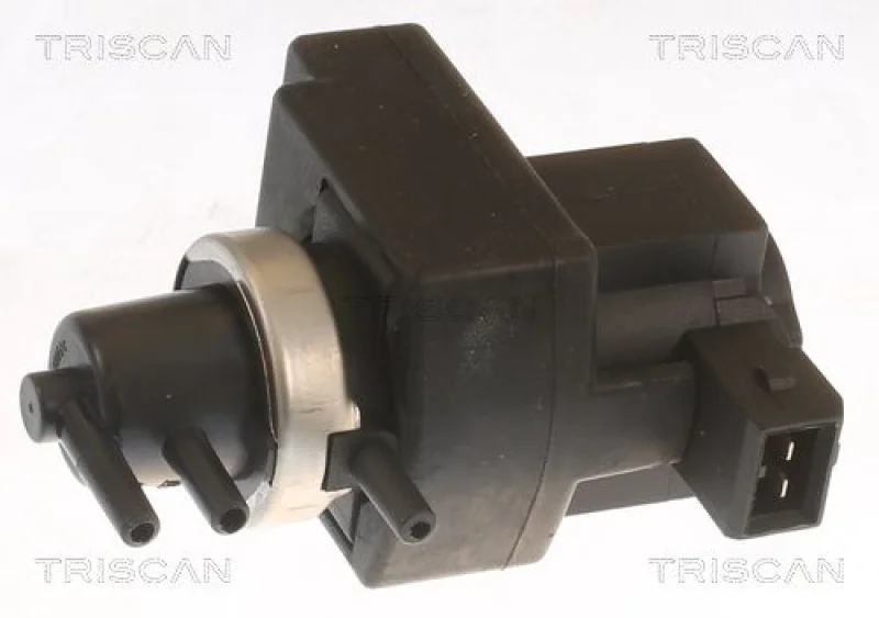 lott-383230