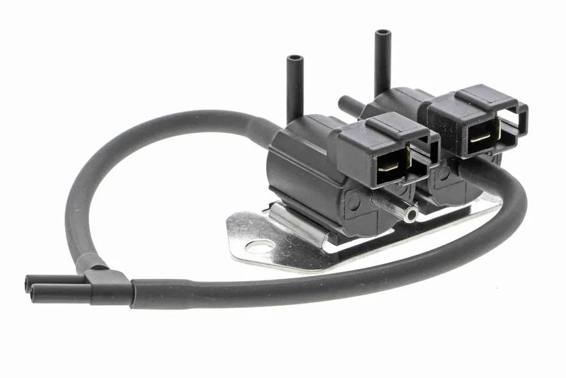 lott-396570