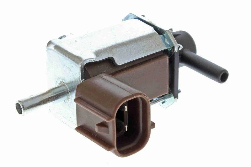 lott-401002