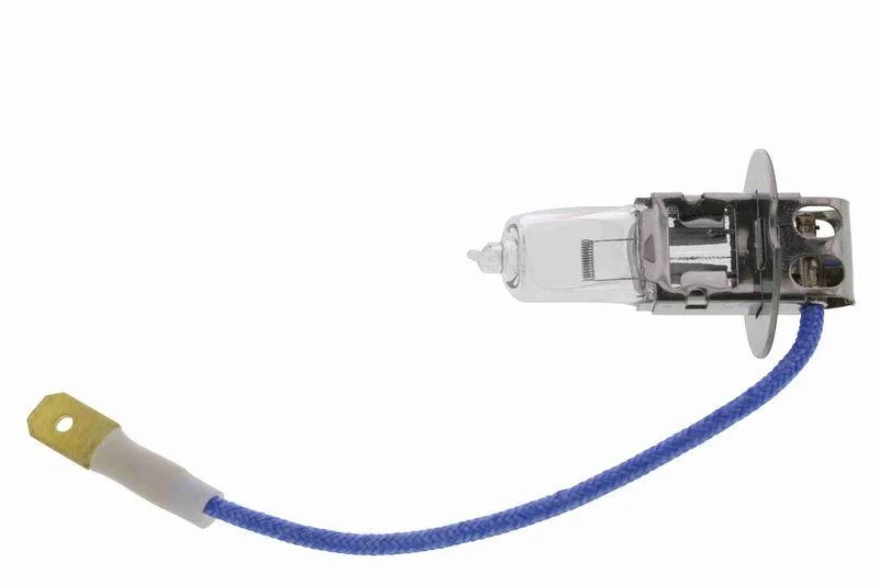lott-561191