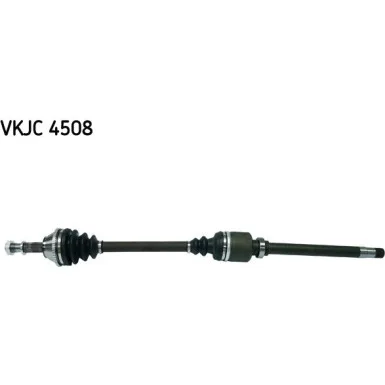 moto100-313936