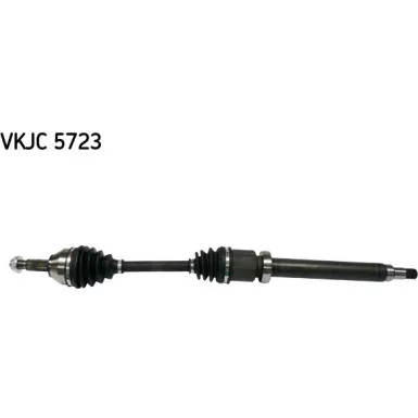 moto100-314195
