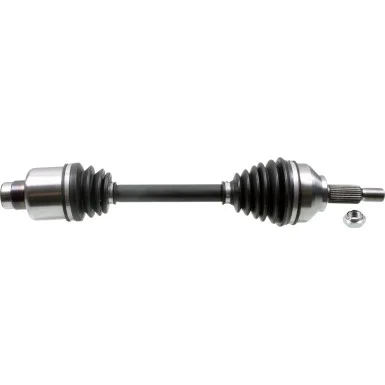 moto100-314844