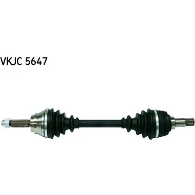 moto100-315585
