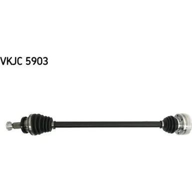 moto100-315832