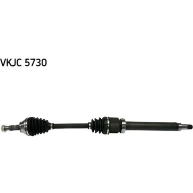 moto100-315893