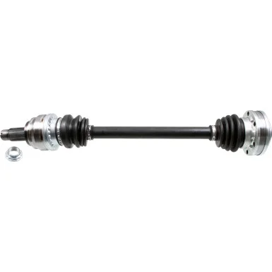moto100-316554