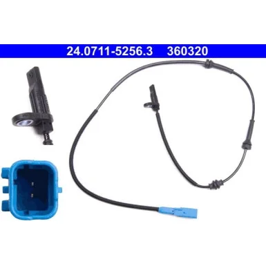 moto100-327738