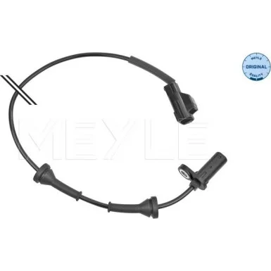 moto100-328177