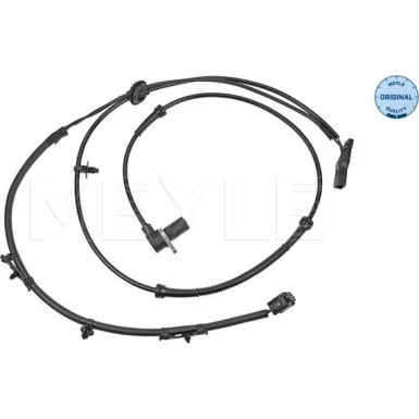 moto100-329989