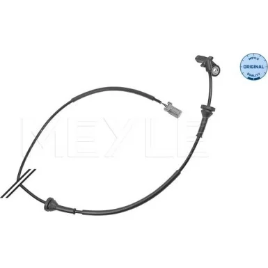 moto100-330205