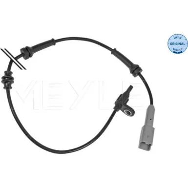 moto100-332614