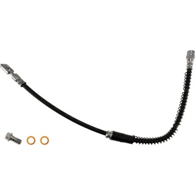 moto100-451648