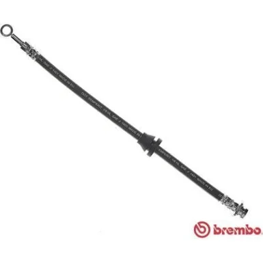 moto100-453004