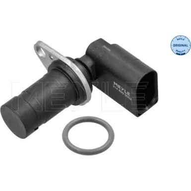 moto100-506381