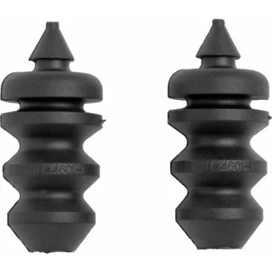 moto100-581863