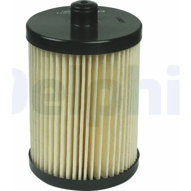 moto100-619696