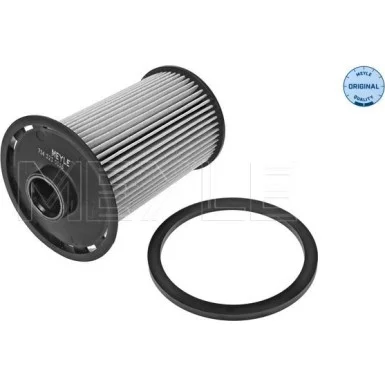 moto100-623069