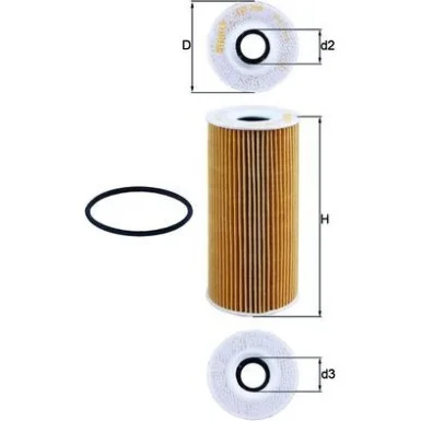 moto100-643324