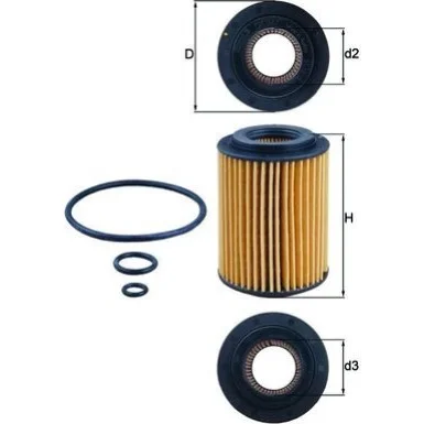 moto100-648230