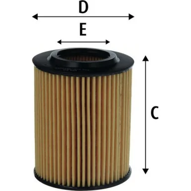 moto100-650731