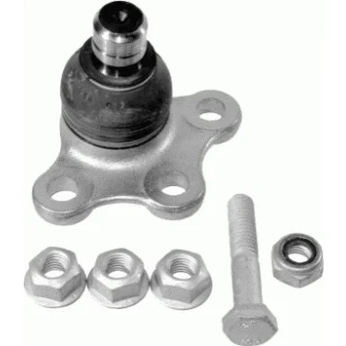 moto100-892638