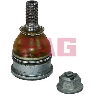moto100-897649