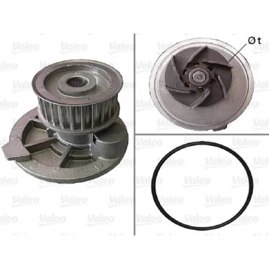 moto100-916763