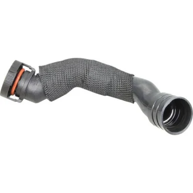 moto100-930387